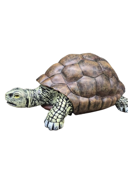 Sculpture Tortue XXL en Résine 110 cm Nature – Swiss Sculpture - Swiss-sculpture.ch