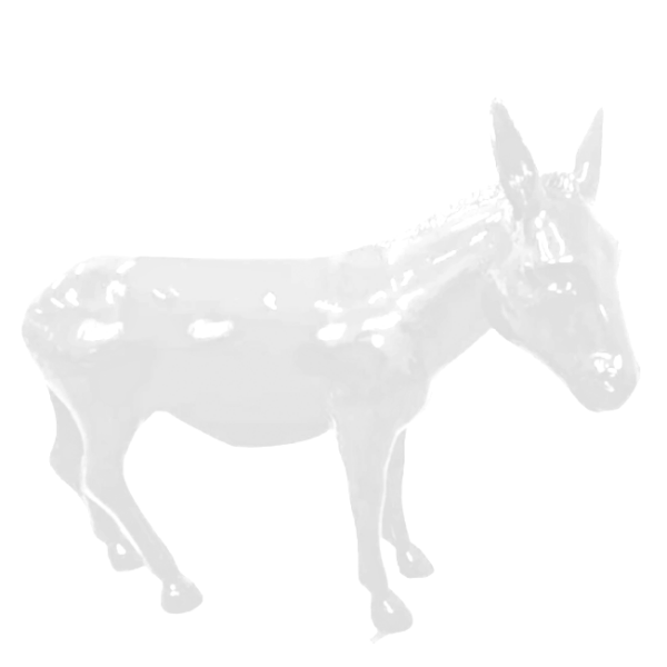 Sculpture Âne XXL en Résine 160 cm Blanc Mat – Swiss Sculpture
