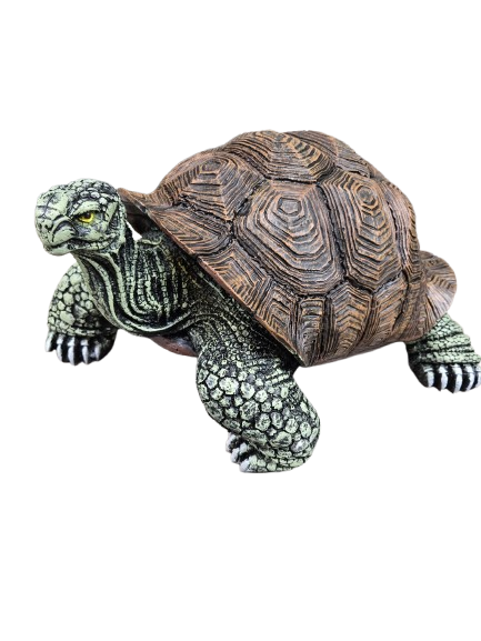 Sculpture Tortue en Résine 65 cm Nature Dorée – Swiss Sculpture - Swiss-sculpture.ch