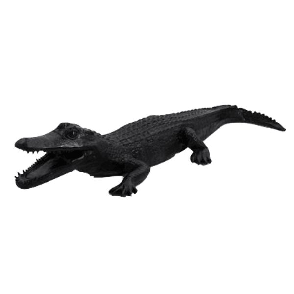 Sculpture Crocodile XXL en Résine 215 cm Noir – Swiss Sculpture - Swiss-sculpture.ch