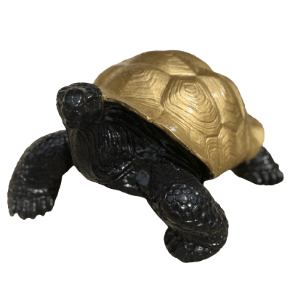 Sculpture Tortue en Résine 65 cm Doré – Swiss Sculpture - Swiss-sculpture.ch